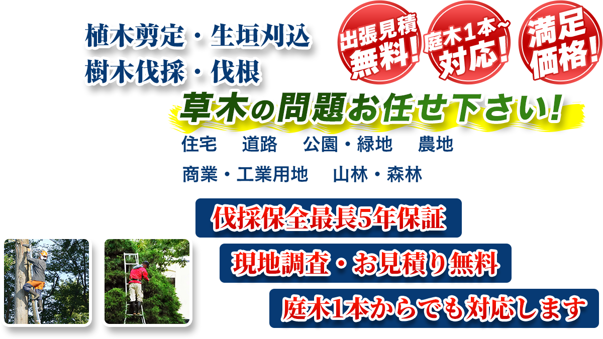 つくば市エリア即対応!! 出張無料! 庭木1本~対応! 満足価格! 植木剪定・生垣刈込 樹木伐採・伐根 草木の問題お任せ下さい! 住宅 道路 公園・緑地 農地 商業・工業用他 山林・森林 伐採保全最長5年保証 現地調査・お見積り無料 庭木1本からでも対応します